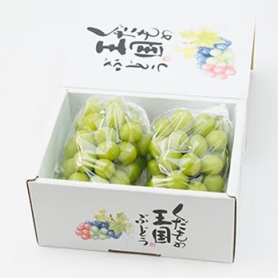 【2025年9月より発送】訳あり家庭用　岡山県産 シャインマスカット  1.0kg以上(2房)【配送不可地域：離島】