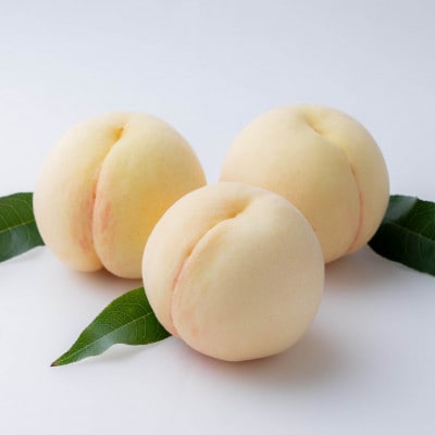 【2026年発送】岡山の白桃(早生種)　大玉3玉(約840g)【配送不可地域：離島】