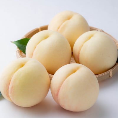 【2026年発送】ご家庭用　岡山の白桃(早生種)　約1.3kg(5～6玉)【配送不可地域：離島】