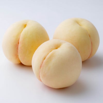 【先行受付】岡山の白桃(晩生種)　大玉3玉(約900g)【配送不可地域：離島】