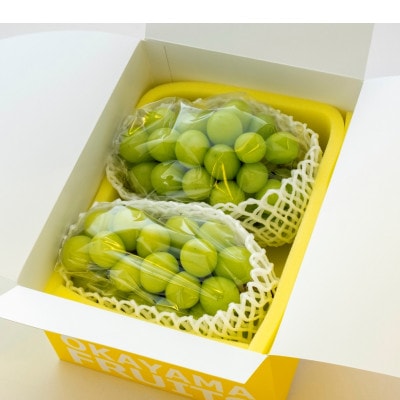 【2026年発送】ご家庭用　岡山県産シャインマスカット(クール便)　約1.2kg(2～3房)【配送不可地域：離島】