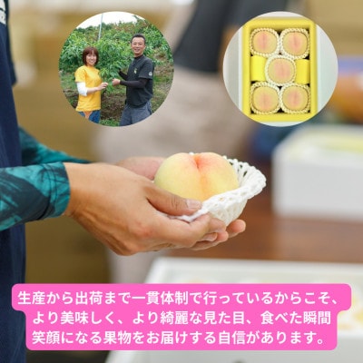 【2026年発送】岡山県産清水白桃　5玉・約1.3kg【配送不可地域：離島】