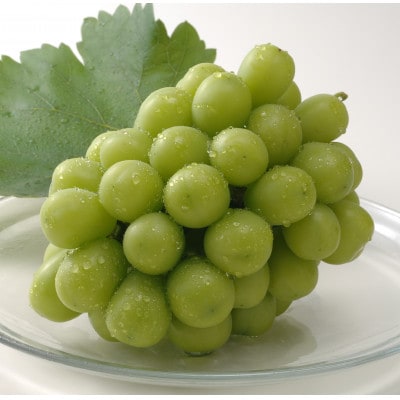 【2026年発送】岡山県産シャインマスカット　1房・約500g(クール便)【配送不可地域：離島】