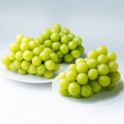 【2026年発送】岡山県産シャインマスカット　約1.3kg・2～3房(クール便)【配送不可地域：離島】