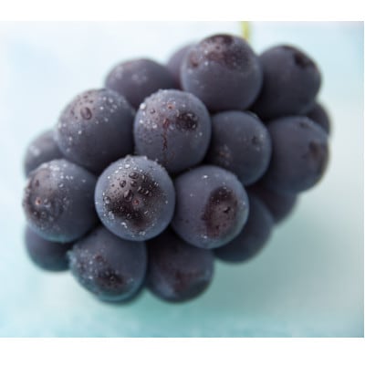 【先行受付】岡山県産ピオーネ　約1kg(約500g×2房)【配送不可地域：離島】