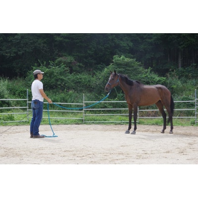 ビジターレッスン利用券 10回分 (1回40分) 岡山県津山市