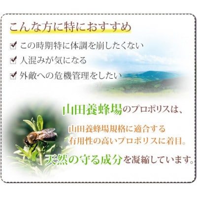 ビーエナジー(114)