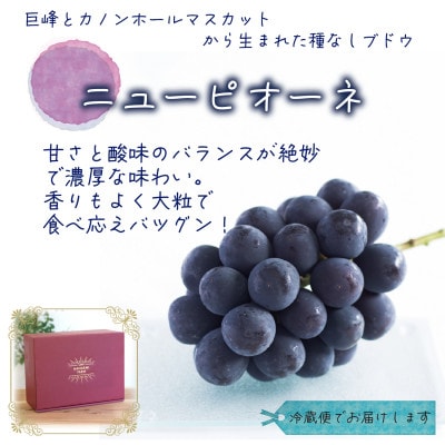 【2026年先行受付】岡山　花笑み農園の『ニューピオーネ』贈答用　約2kg(3～4房)　P-2上【配送不可地域：離島・北海道・沖縄県】