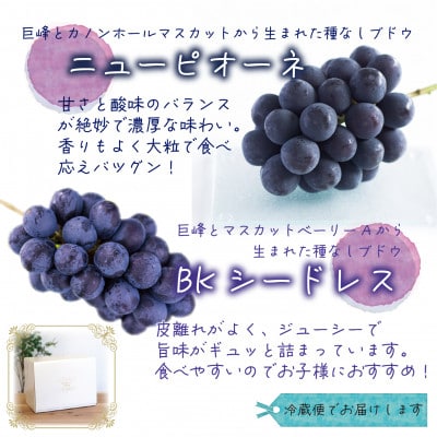 【2026年先行受付】岡山　花笑み農園の『ニューピオーネ＆BKシードレス』1kg(2房)PB-1【配送不可地域：離島・北海道・沖縄県】