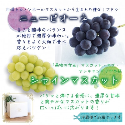 【2026年先行受付】岡山　花笑み農園の『ニューピオーネ＆シャインマスカット』1kg(2房)PS-1【配送不可地域：離島・北海道・沖縄県】