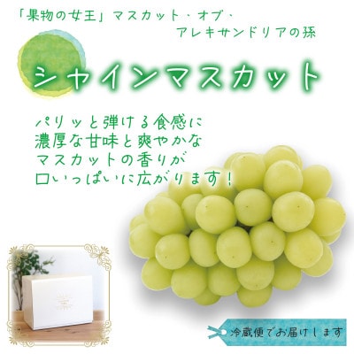 【2026年先行受付】岡山　花笑み農園の 『シャインマスカット』1kg(2房)　S-1【配送不可地域：離島・北海道・沖縄県】