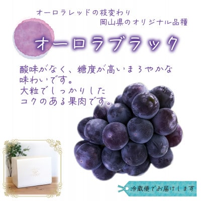 【2026年先行受付】岡山　花笑み農園のブドウ『オーロラブラック』1kg(2房)　A-1【配送不可地域：離島・北海道・沖縄県】