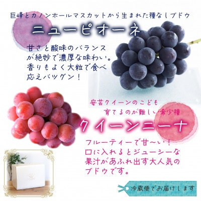 【2026年先行受付】岡山　花笑み農園の『ニューピオーネ＆クイーンニーナ』1kg(2房)　PQ-1【配送不可地域：離島・北海道・沖縄県】