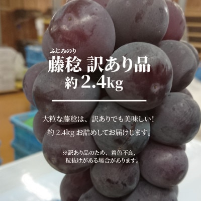 【2026年先行予約】訳あり 種なし ボッケーネ(藤稔) 約2.4kg (岡山県産)【配送不可地域：離島】