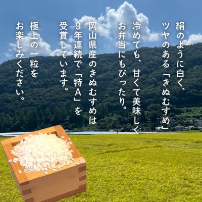 【令和7年産】きぬむすめ 岡山ほたる米 精米5kg (岡山県産)新米 産地直送 《数量限定》