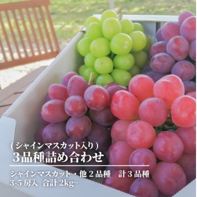 【2026年先行予約】ぶどう3品種詰合せ(シャインマスカット入)3-5房入/計2kg～(岡山県産)【配送不可地域：離島】