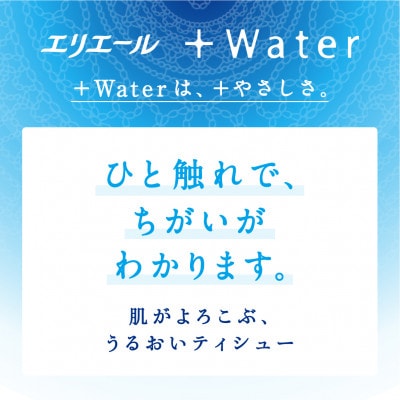 エリエール+Waterティシュー180W5P