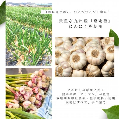 活性エキス【健康食品】