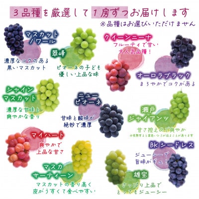 【2026年先行受付】岡山　花笑み農園の『10月おすすめ3種』優品　1.8kg(3房)3M-2L優【配送不可地域：離島】