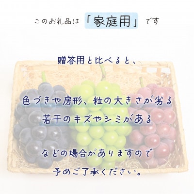 【2026年先行受付】岡山　花笑み農園のブドウ『彩り3種セット』家庭用　1.8kg(3房)3M-2家【配送不可地域：離島】