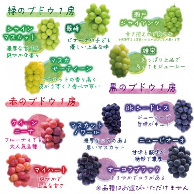 【2026年先行受付】岡山　花笑み農園のブドウ『彩り3種セット』贈答用　1.8kg(3房)3M-2上【配送不可地域：離島】
