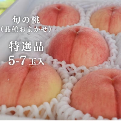 【2026年先行予約】特選品　旬採り桃　5-7玉　(岡山県産)【配送不可地域：離島】