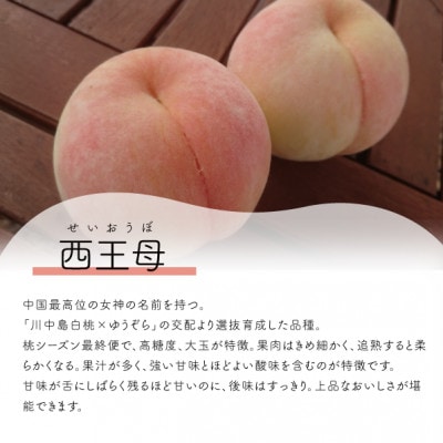 【2026年先行予約】女神の名を持つ希少な晩生桃、西王母(上級品)4-6玉入(岡山県産)【配送不可地域：離島】