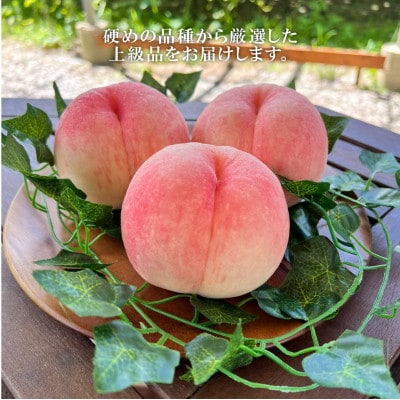 【2026年先行予約】「硬めの桃好きさん」におすすめ! 硬め桃 上級品 5-7玉(岡山県産)【配送不可地域：離島】