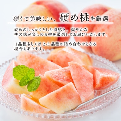 【2026年先行予約】「硬めの桃好きさん」におすすめ! 硬め桃 ご家庭用 5-7玉(岡山県産)【配送不可地域：離島】