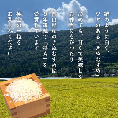 【2026年先行予約】令和8年産新米 岡山ほたる米 きぬむすめ精米10kg (岡山県産)
