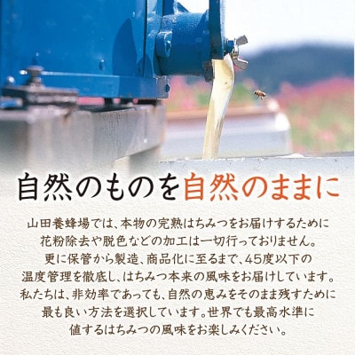 【お試しサイズ】里山のぼだいじゅ蜂蜜(国産)120g(24151)