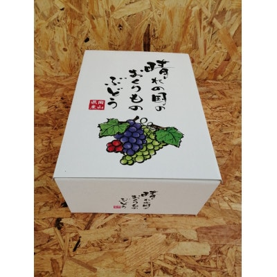 先行予約　岡山産　完熟シャインマスカット　2房　1キロ以上【配送不可地域：離島】