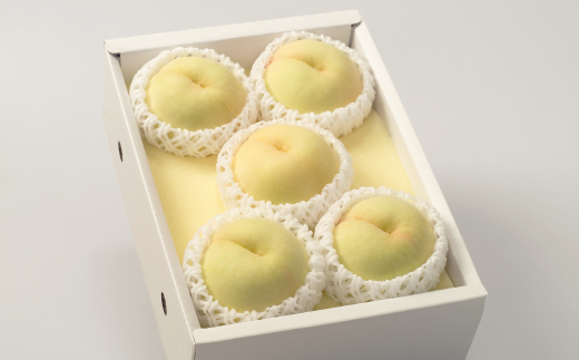 ◆先行受付◆　岡山県産　清水白桃5～7玉　2026年発送【配送不可地域：離島・北海道・沖縄県】