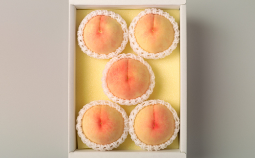 ◆先行受付◆　岡山県産　岡山白桃5～7玉(2)　2026年発送【配送不可地域：離島・北海道・沖縄県】