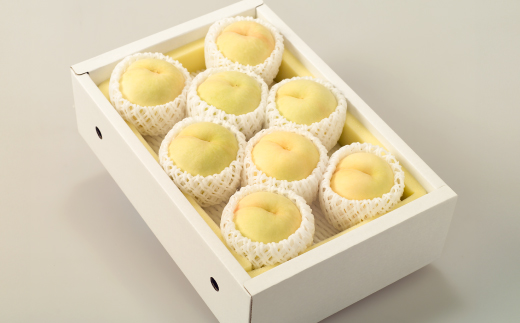 ◆先行受付◆　岡山県産　岡山白桃8～10玉　2026年発送【配送不可地域：離島・北海道・沖縄県】