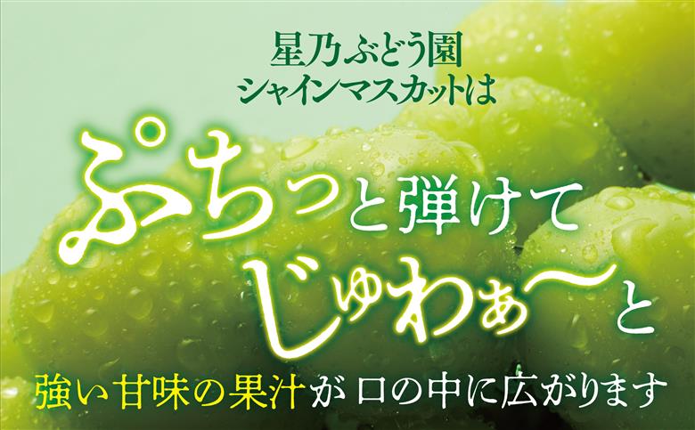 【三つ星ブランド】星乃シャインマスカット プレミアムクラス(岡山県産) 1房×850g以上【配送不可地域：離島・北海道・沖縄県】