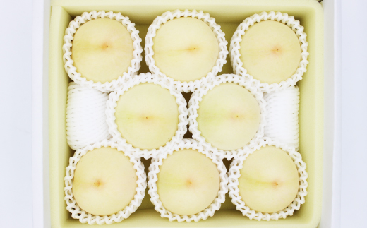 岡山白桃・晩生(ご家庭用)6～9玉入り【2026年8月中旬より発送予定】【配送不可地域：離島】