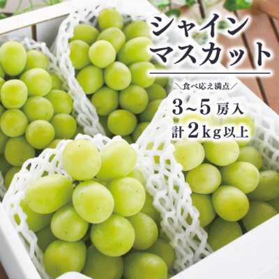 【2026年先行予約】シャインマスカット3-5房/計2kg～(岡山県産)【配送不可地域：離島】