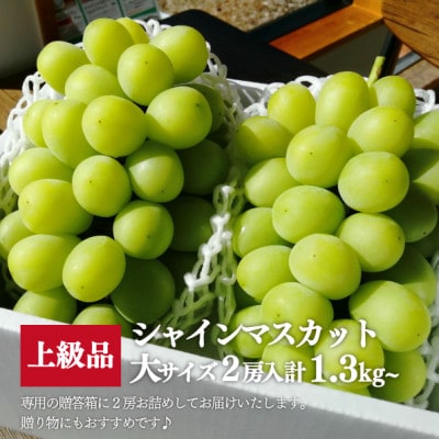 【2026年先行予約】シャインマスカット 大2房入/計1.3kg～(岡山県産)【配送不可地域：離島】