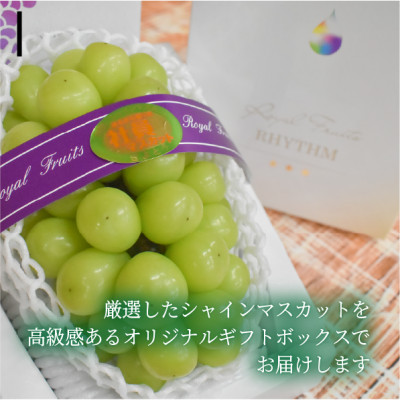 【2026年先行予約】【厳選品】大粒シャインマスカット1房/700g以上(岡山県産)【配送不可地域：離島】