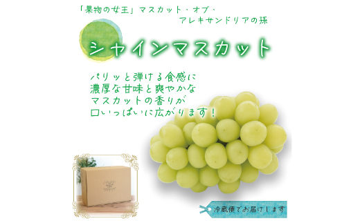 【2026年先行受付】岡山　花笑み農園の『シャインマスカット』優品　約2kg(3～5房)　S-2優【配送不可地域：離島・北海道・沖縄県】