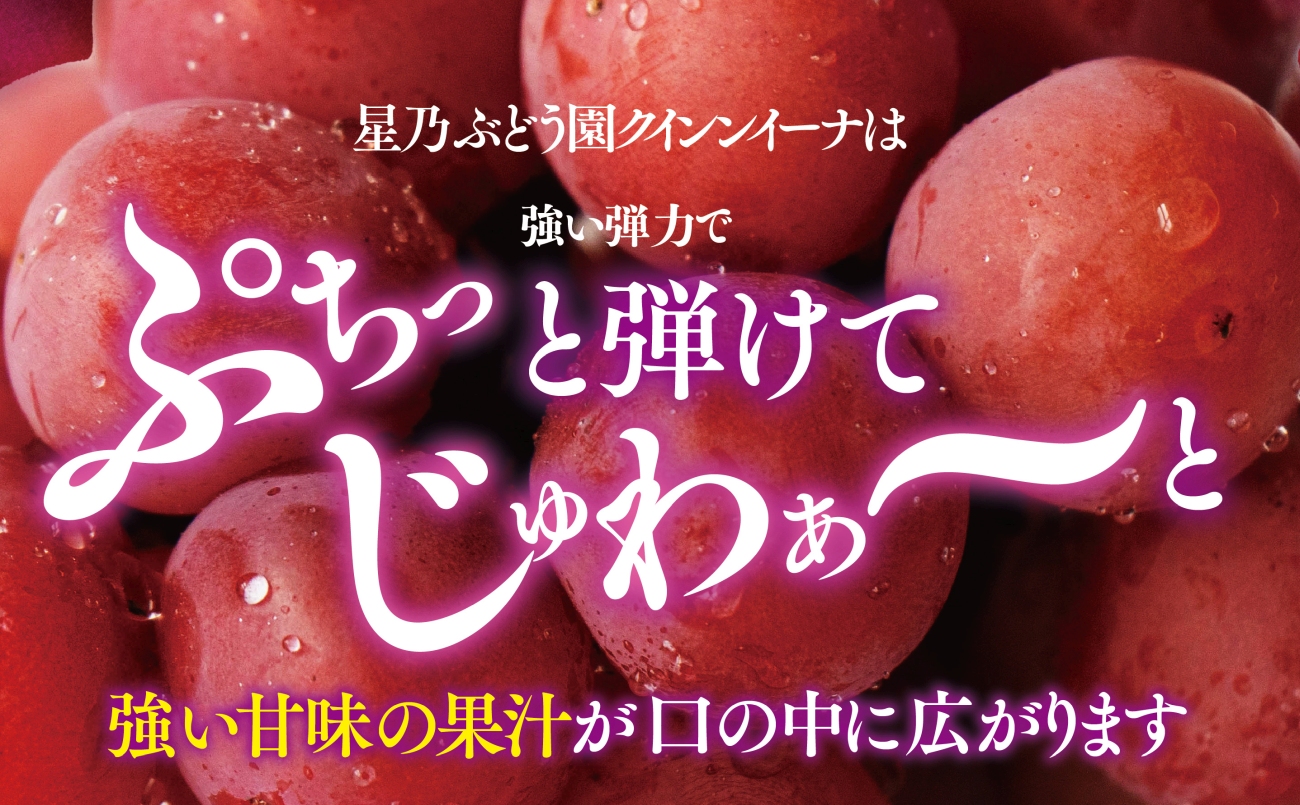 【先行受付】プレミアム星乃クイーンニーナ 数量限定 1房(700g)【配送不可地域：離島・北海道・沖縄県】