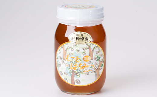津山市産 山蜂蜜　600g