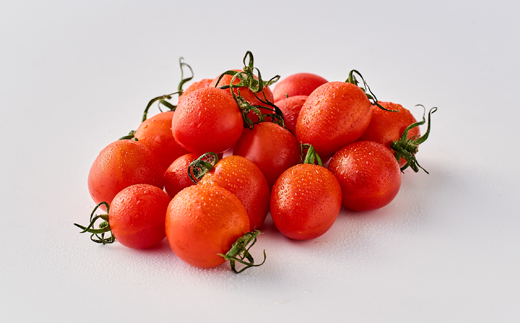 シャイントマト　1キロ 500g×2袋【配送不可地域：離島・北海道・沖縄県・東北・関東・信越、北陸】