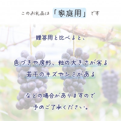 【2026年先行受付】岡山　花笑み農園の『BKシードレス』家庭用　約2kg(3～6房)　B-2家【配送不可地域：離島・北海道・沖縄県】