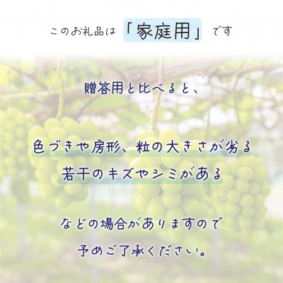【2026年先行受付】岡山　花笑み農園の『シャインマスカット』家庭用　約2kg(3～5房)　S-2家【配送不可地域：離島・北海道・沖縄県】
