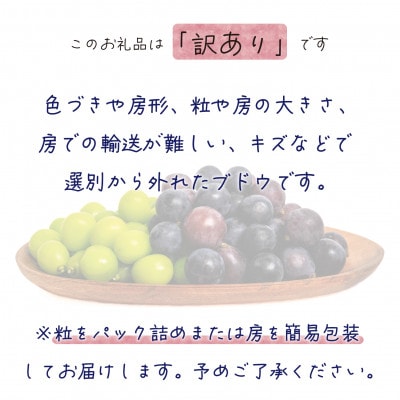 【2026年先行受付】岡山　花笑み農園のブドウ『訳あり2種MIX』1kg　W2M-1【配送不可地域：離島・北海道・沖縄県】
