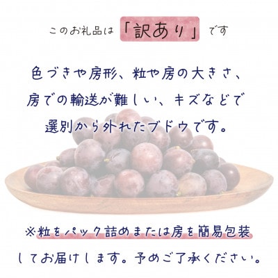 【2026年先行受付】岡山　花笑み農園の 『訳ありニューピオーネ』1kg　WP-1【配送不可地域：離島・北海道・沖縄県】