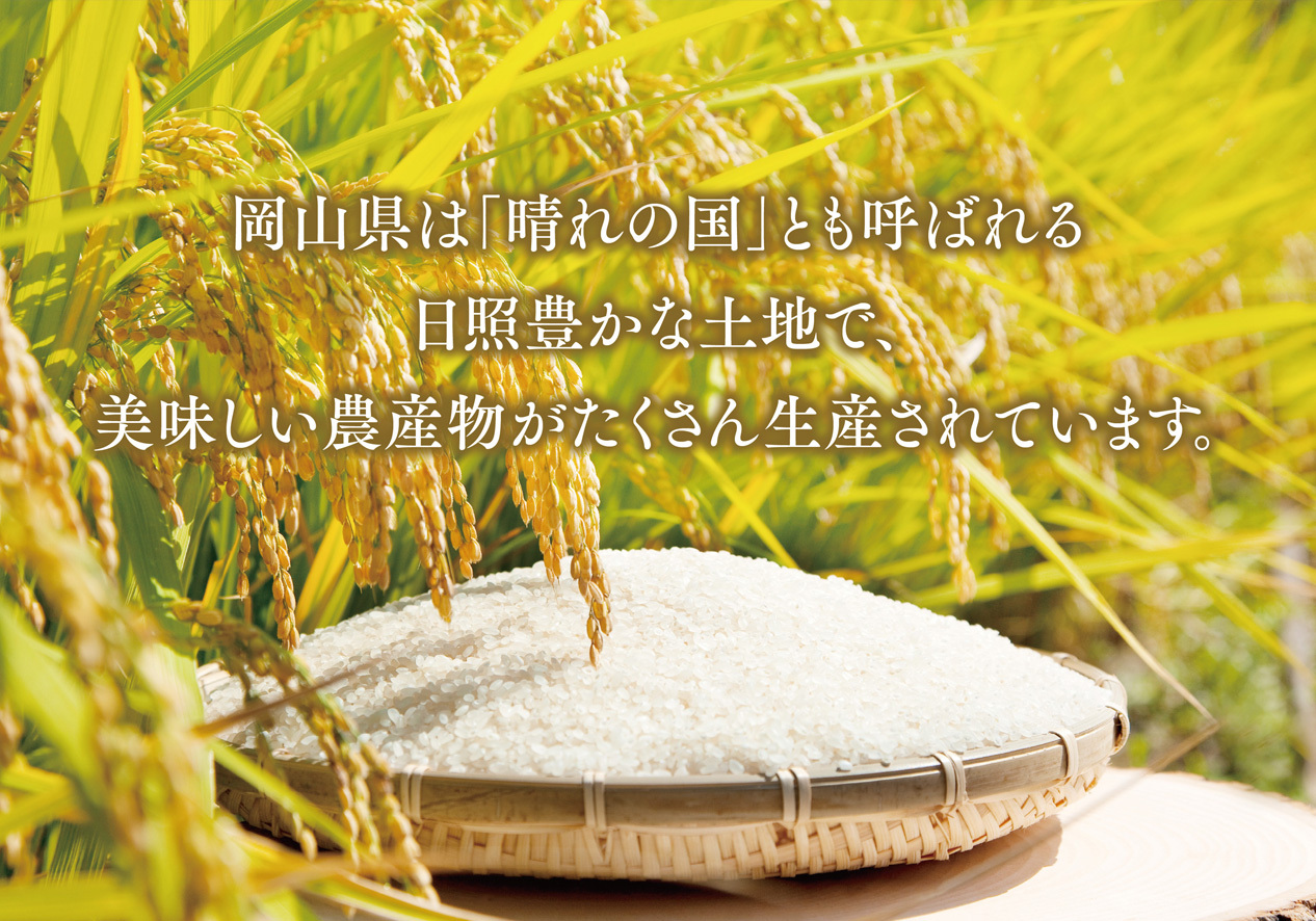 おいしいお米(5kg)無洗米　リピーター続出