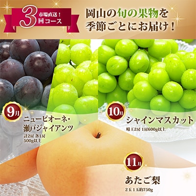 【発送月固定定期便】B 岡山県産 シャインマスカット(晴王)・あたご梨・ニューピオーネほか全3回【配送不可地域：離島・北海道・沖縄県】